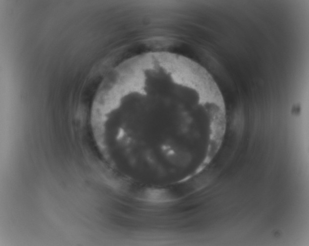 X0000113850283200910151219