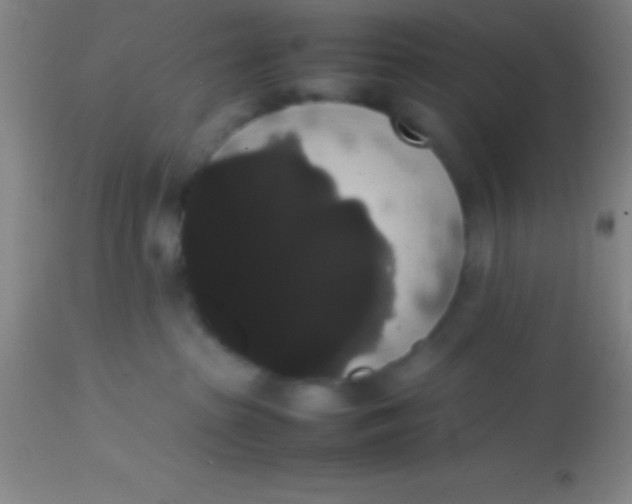 X0000113850285200910151219