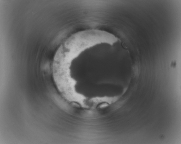 X0000113850286200910151219