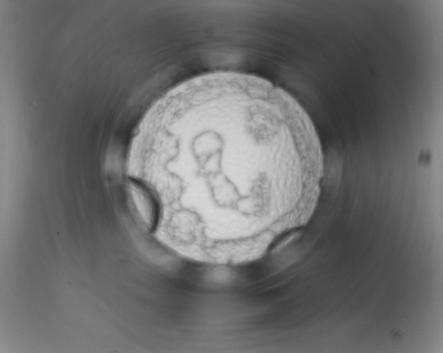 X0000113850287200910151219