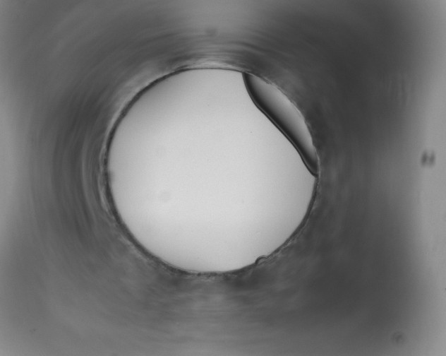 X0000113850289200910151219