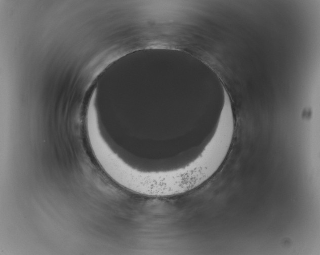 X0000113850290200910151219