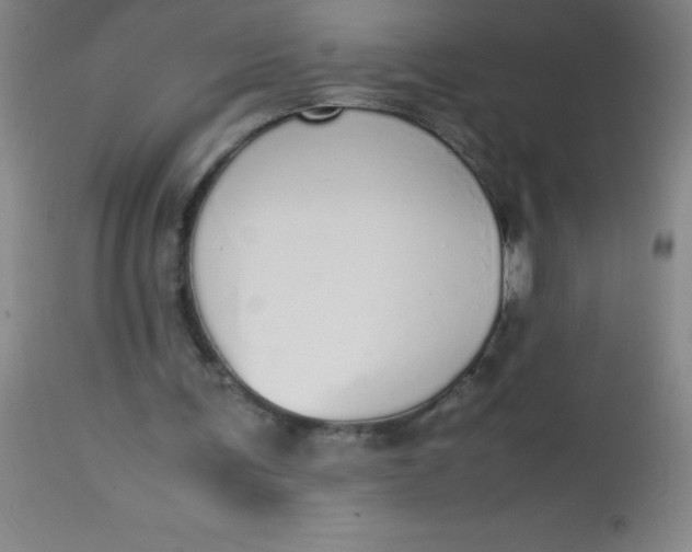 X0000113850291200910151219