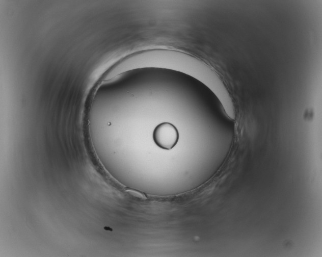 X0000113850292200910151219