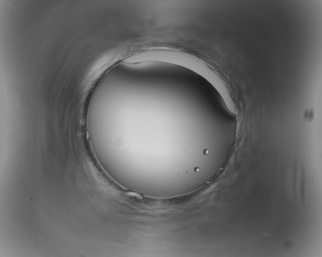 X0000113850293200910151219