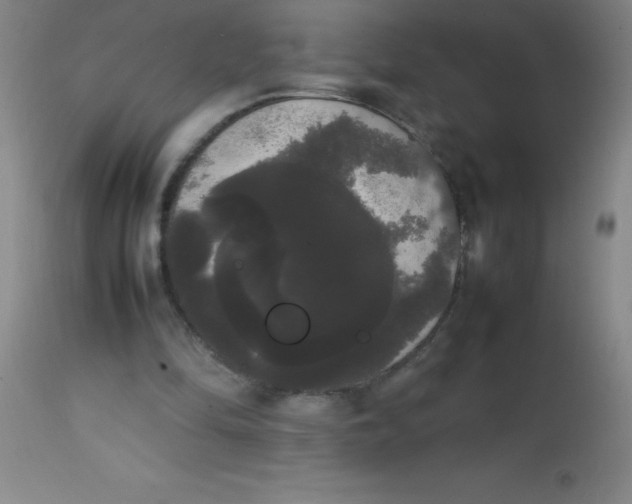 X0000113850294200910151218