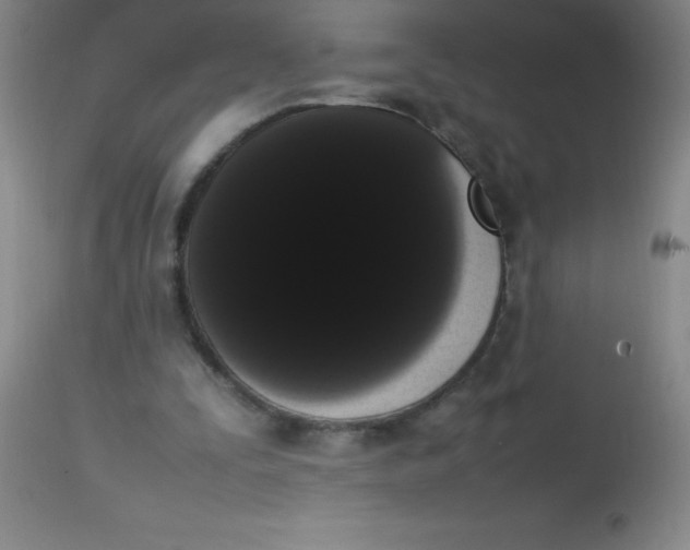 X0000113850295200910151218