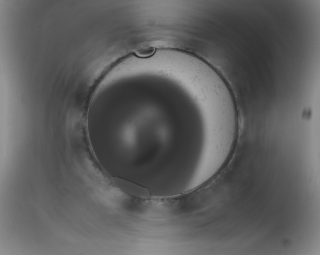 X0000113850297200910151218