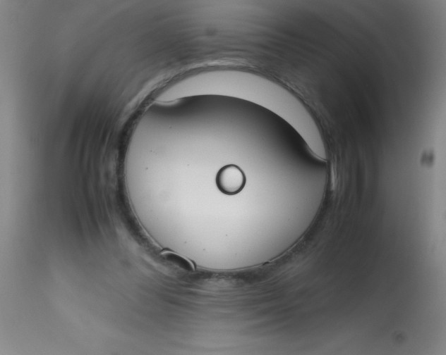 X0000113850300200910151218