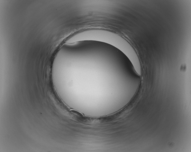 X0000113850301200910151218