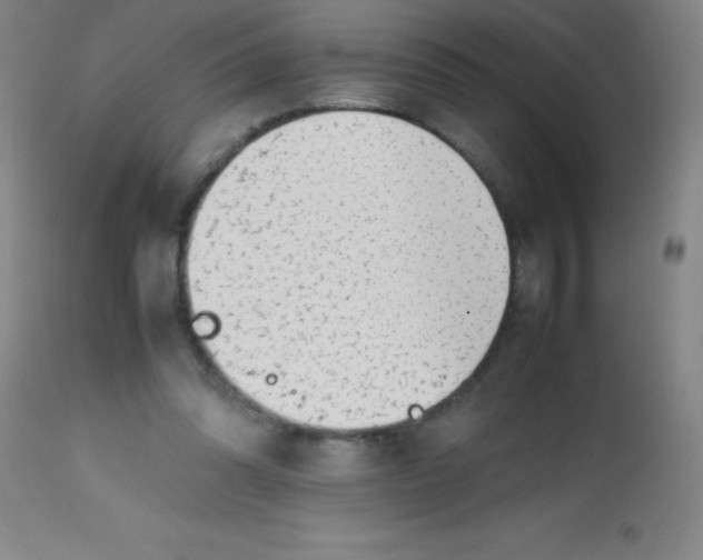 X0000113850302200910151218