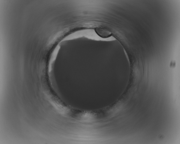 X0000113850303200910151218