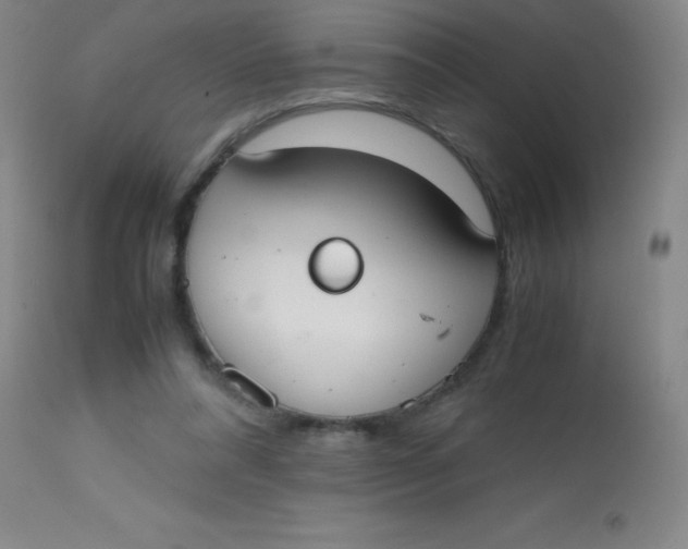 X0000113850304200910151218