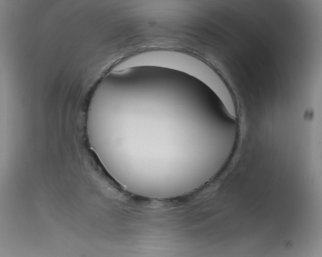 X0000113850305200910151218