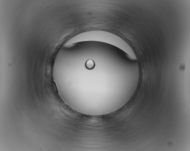 X0000113850308200910151218