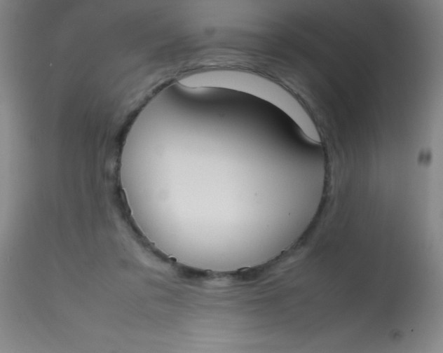 X0000113850309200910151218