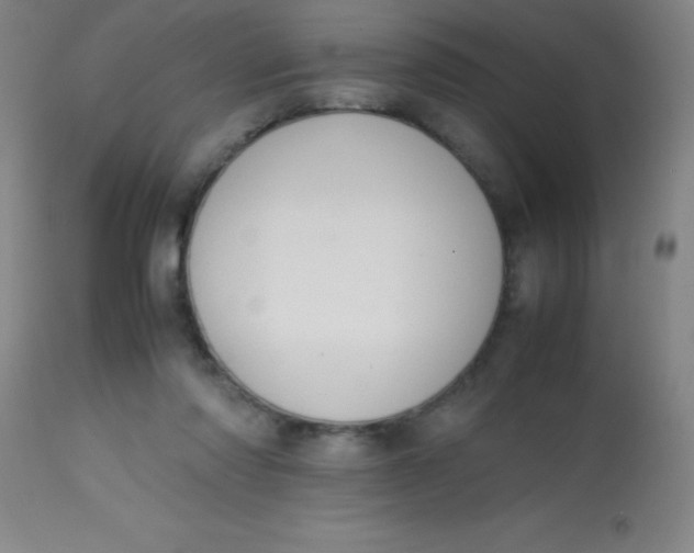 X0000113850310200910151218