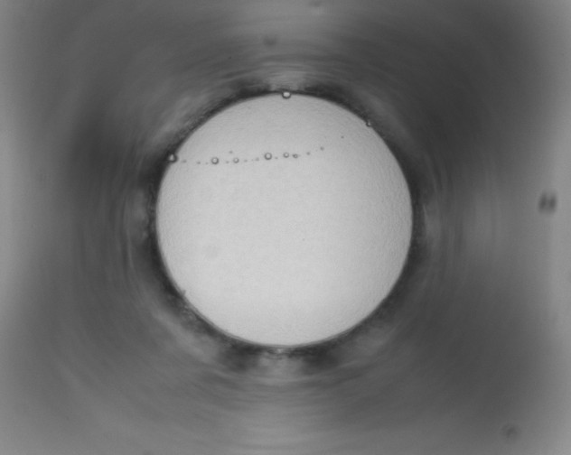 X0000113850311200910151218