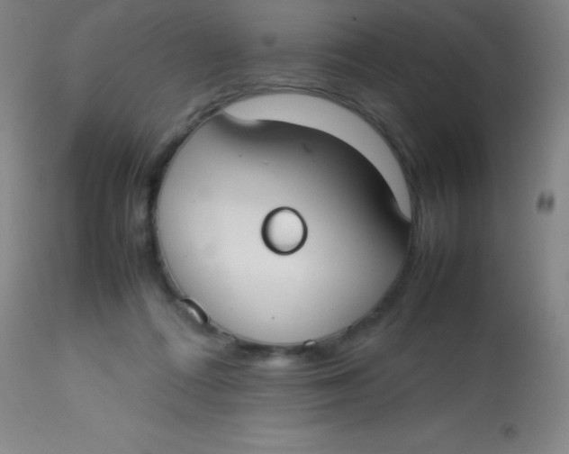 X0000113850312200910151218