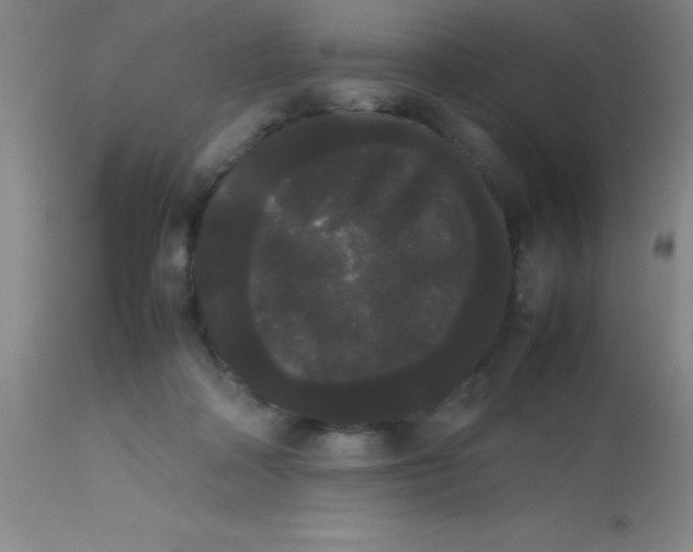 X0000113850314200910151218