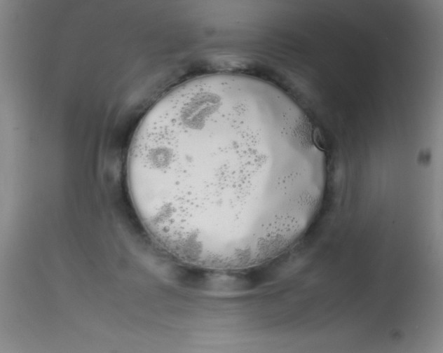 X0000113850315200910151218