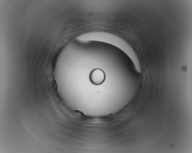 X0000113850316200910151218