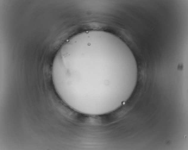 X0000113850317200910151218