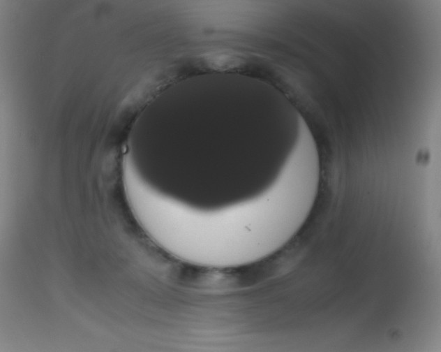 X0000113850319200910151218