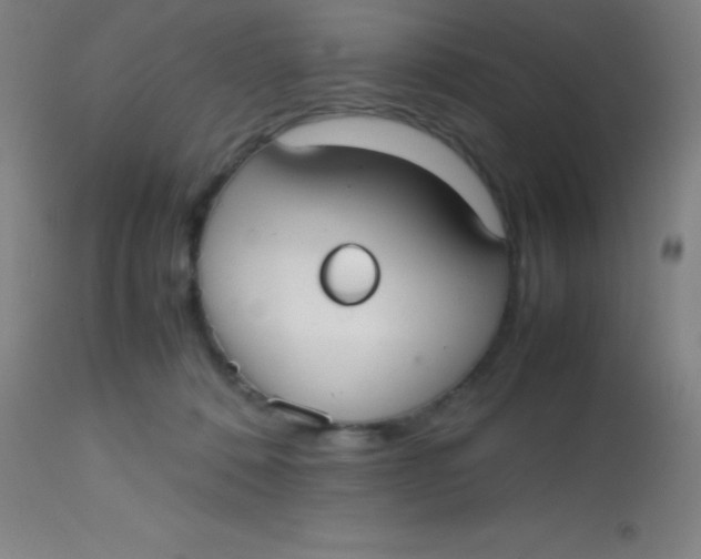 X0000113850320200910151218