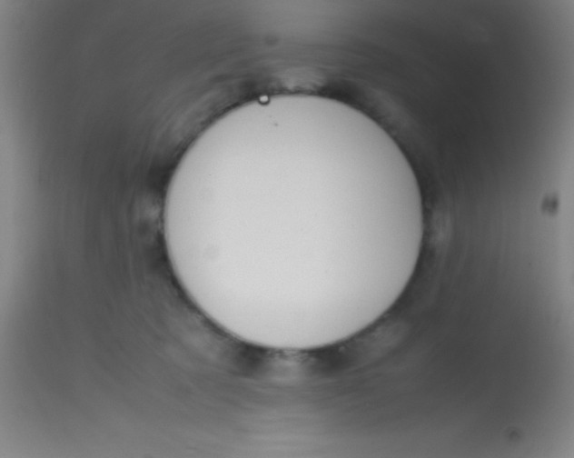 X0000113850321200910151218