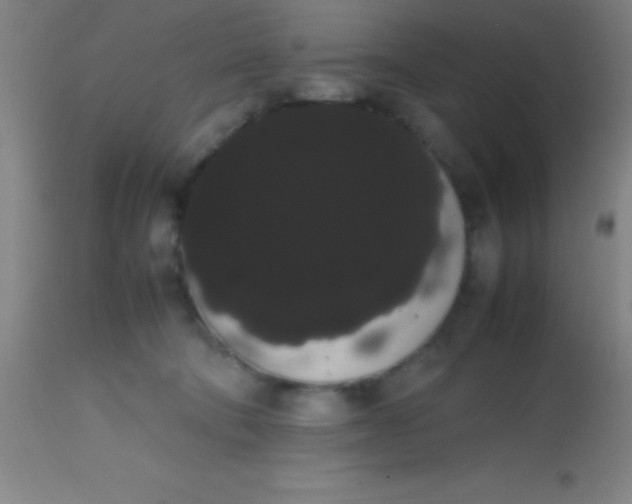 X0000113850322200910151218