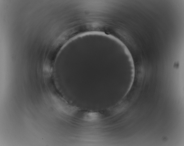 X0000113850324200910151218