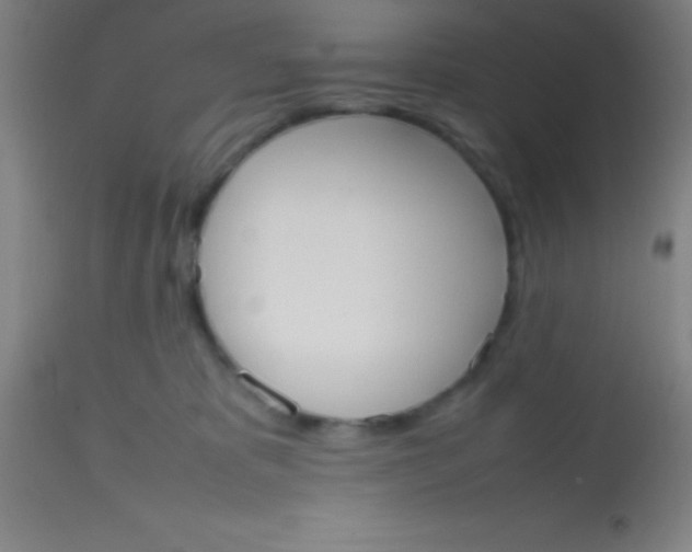 X0000113850325200910151218