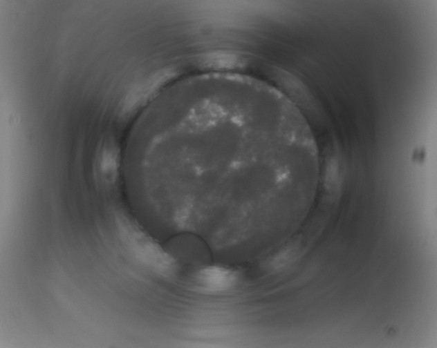 X0000113850326200910151218