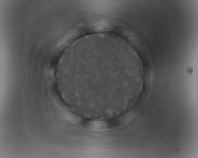 X0000113850327200910151218