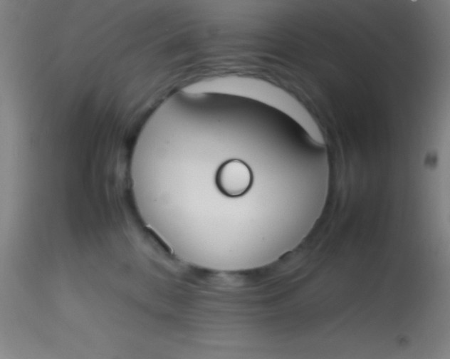 X0000113850328200910151218