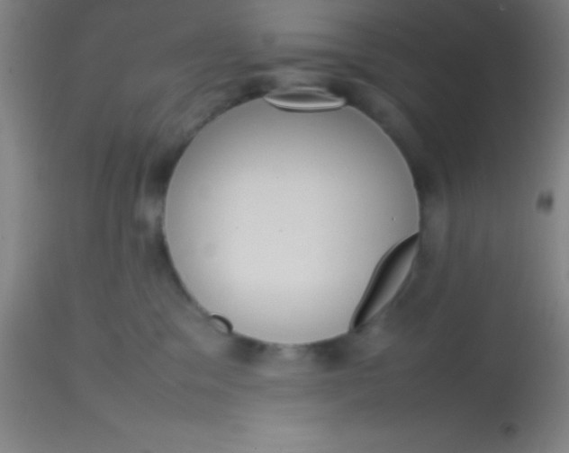 X0000113850329200910151218