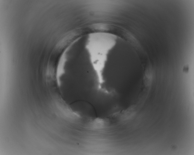 X0000113850330200910151218