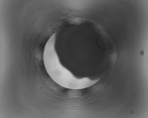 X0000113850331200910151218