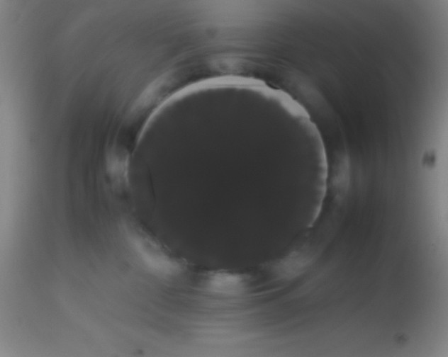 X0000113850332200910151218