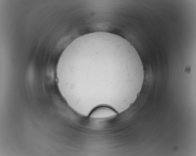 X0000113850334200910151218