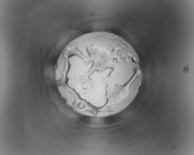 X0000113850335200910151218