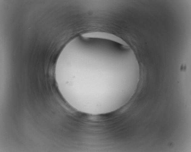 X0000113850336200910151218