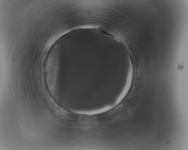 X0000113850337200910151217