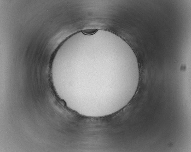 X0000113850338200910151217