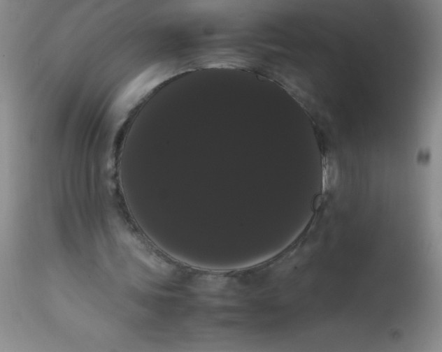 X0000113850339200910151217