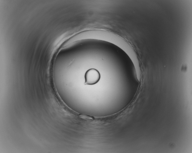 X0000113850340200910151217