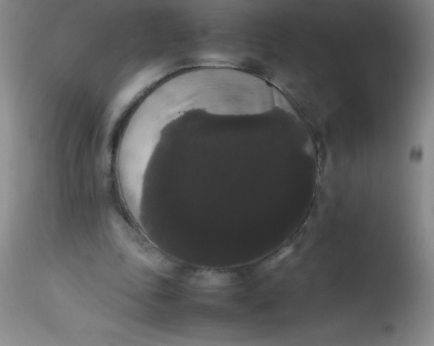 X0000113850343200910151217