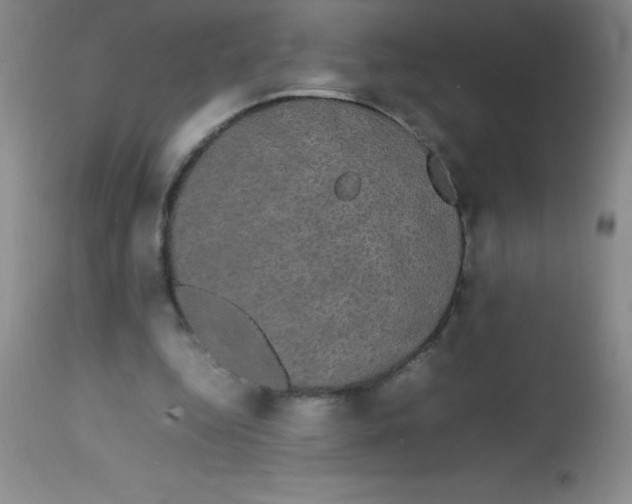 X0000113850344200910151217