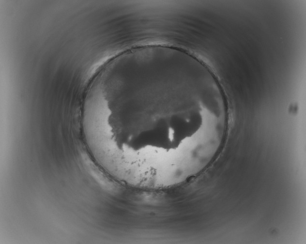 X0000113850345200910151217